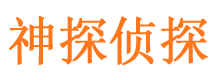 民丰市侦探调查公司